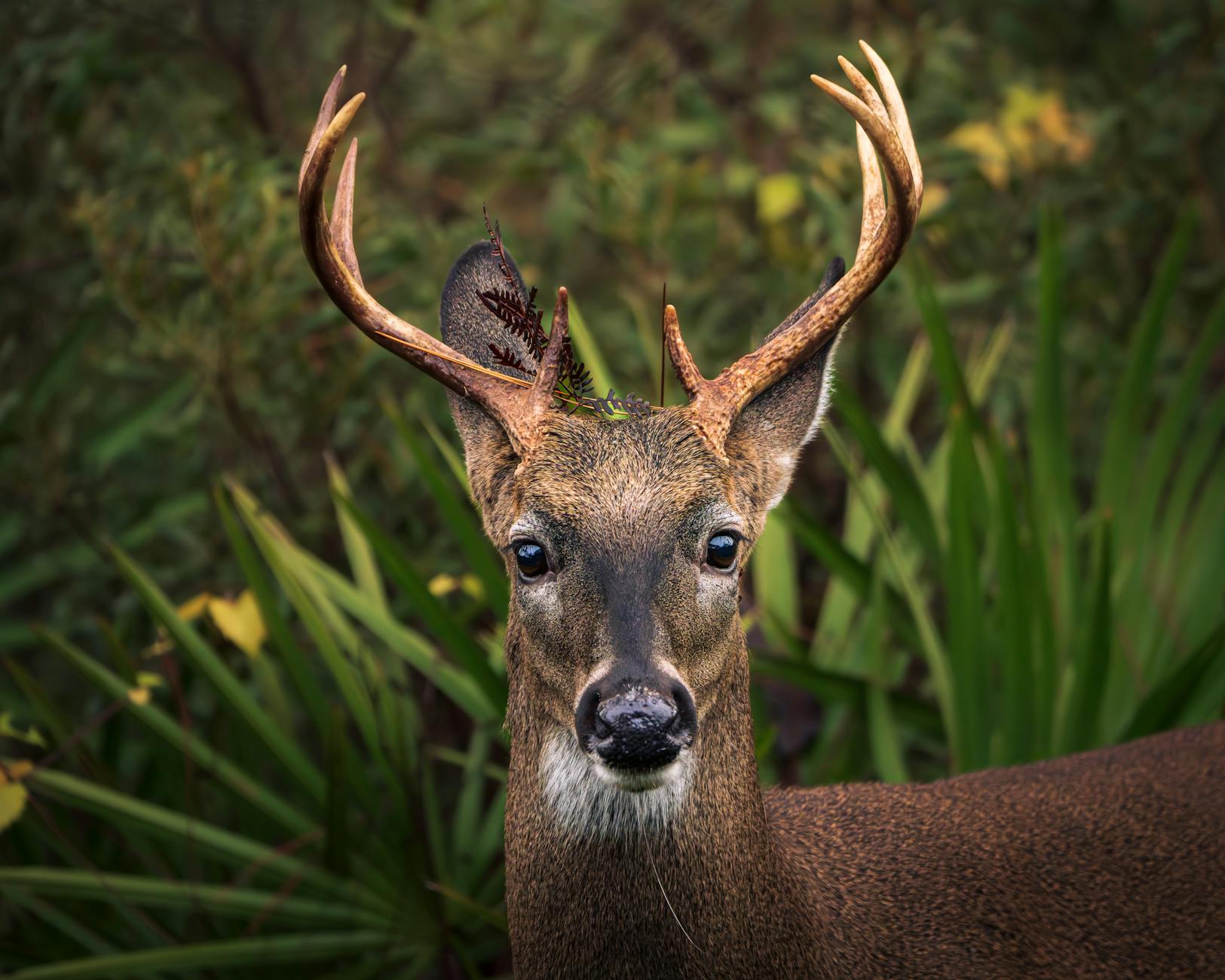 featured-image